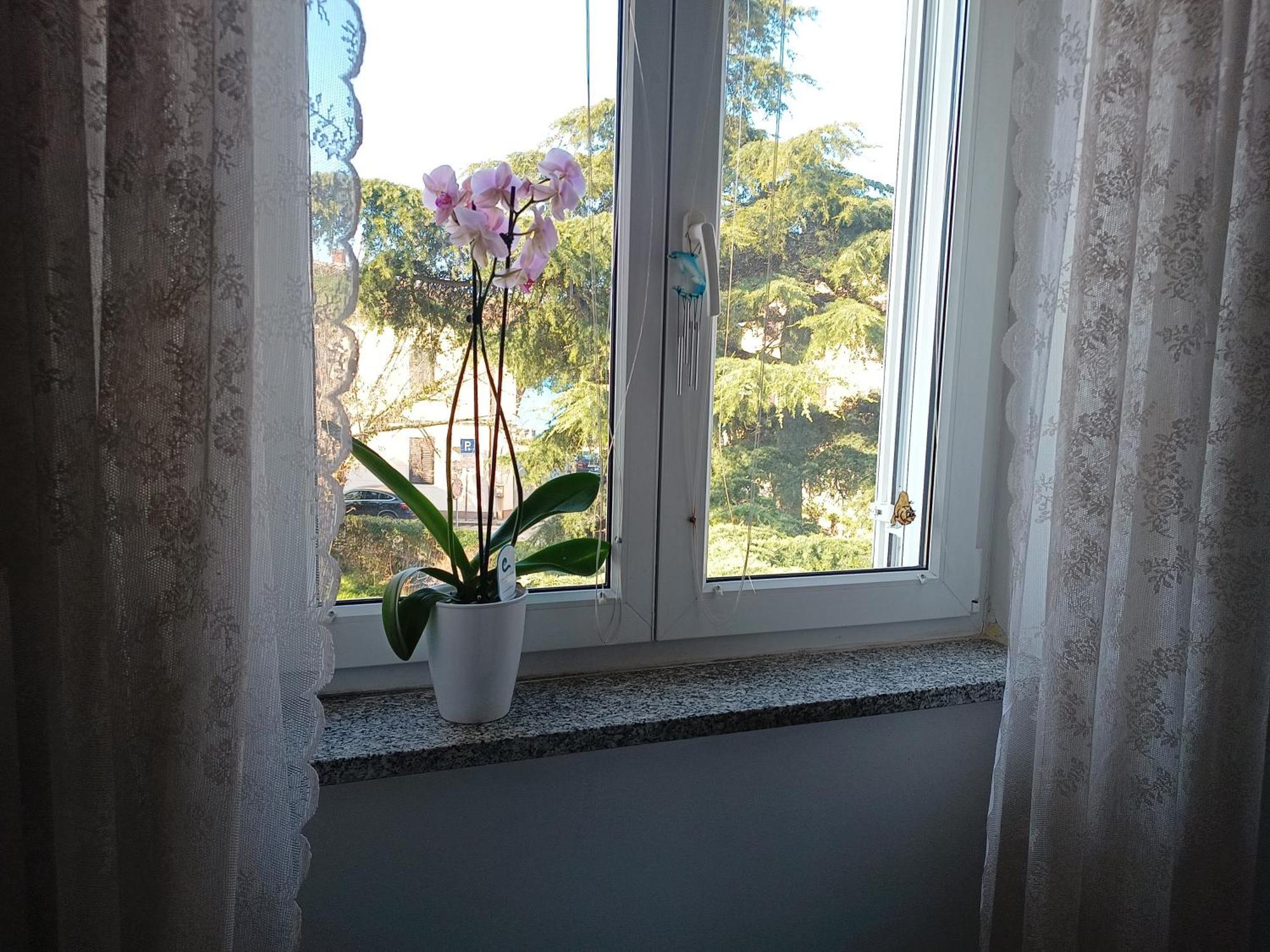 Apartment Luka Fažana Eksteriør billede